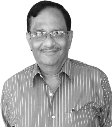 Advisory Panel Member